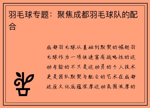 羽毛球专题：聚焦成都羽毛球队的配合
